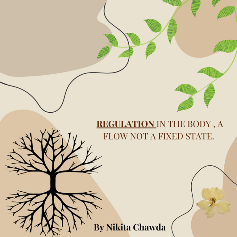 Regulation in the Body, A Flow Not a Fixed State.